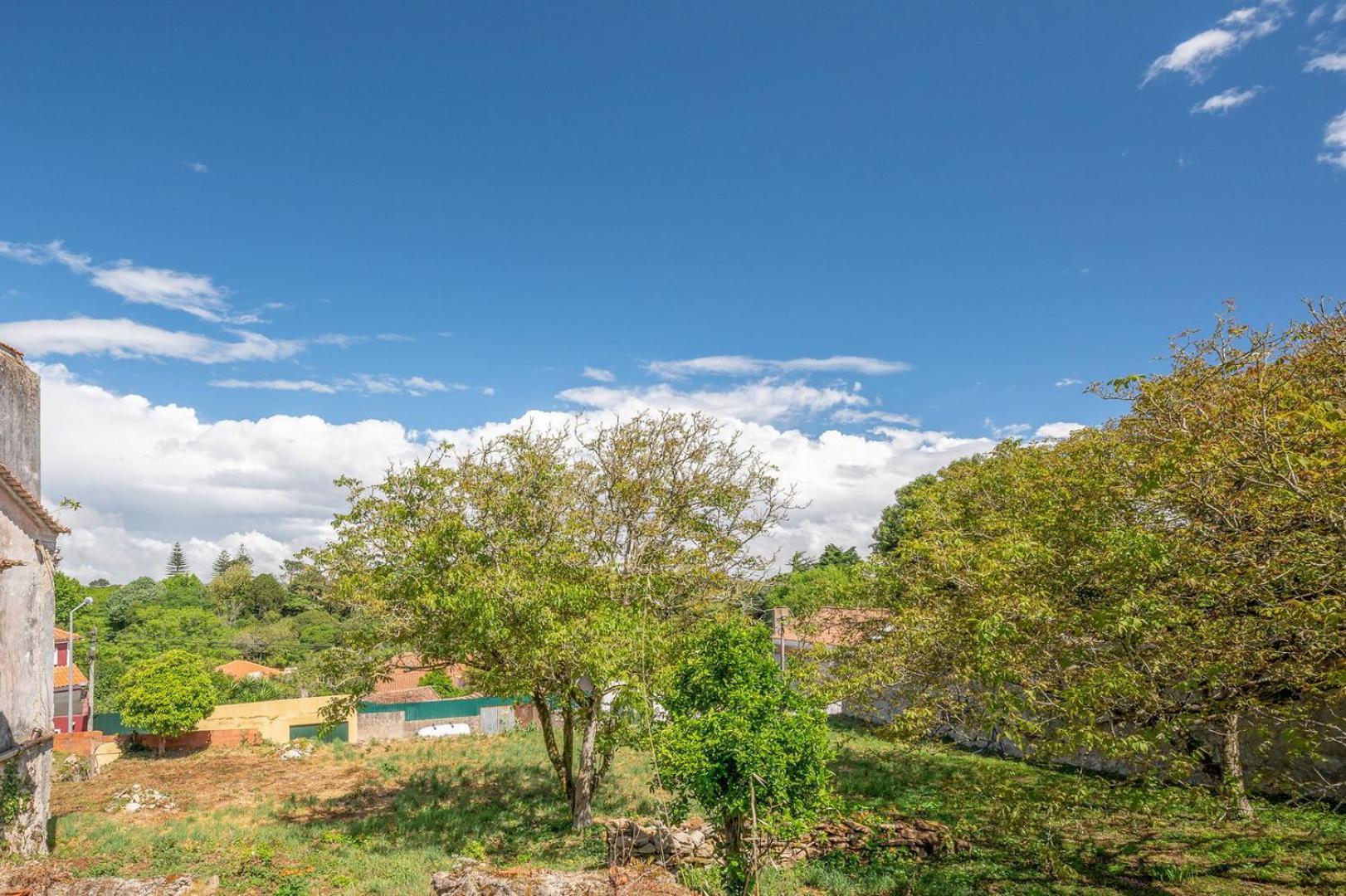 Guestready - Sintra Cosy House Διαμέρισμα Εξωτερικό φωτογραφία